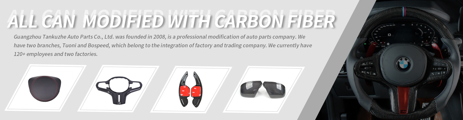Carbon Fiber Mirror Cover